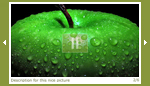 xml banner rotator slideshow gallery xml banner rotator slideshow gallery