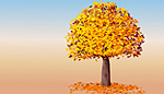tree autumn tree autumn