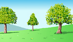 tree summer tree summer