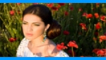 Monster Template - XML Photo and FLV Video Galleries Monster Template - XML Photo and FLV Video Galleries