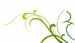 Floral Animation Intro