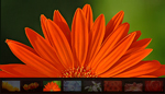 XML Photo Gallery 