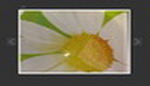 XML Image Gallery 
