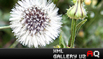XML Gallery V2.0 XML Gallery V2.0