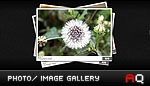 Photo Gallery Fullscreen Image Gallery Photo Gallery Fullscreen Image Gallery