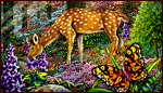 Butterfly fantasy 