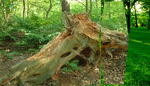 3D Image Masking Transition