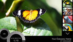 XML Photo Gallery 