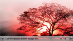 Dynamic Photo Gallery XML Driven Dynamic Photo Gallery XML Driven