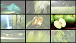 Image gallery with pages 