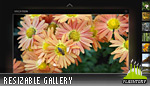 Amphasia Resizable Vertical Gallery w Scroller Amphasia Resizable Vertical Gallery w Scroller