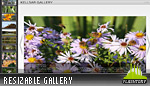 Kelssar Resizable Gallery Kelssar Resizable Gallery