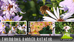 Thumbnail Banner Rotator 01 Thumbnail Banner Rotator 01